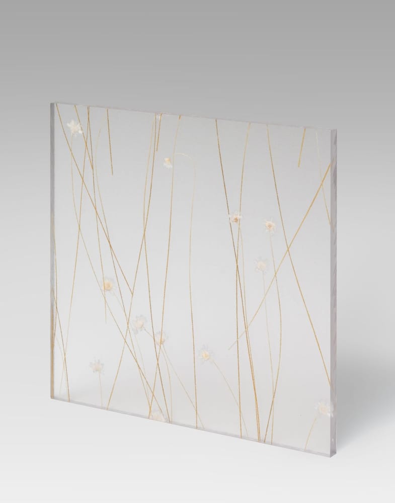 GL-PLN-0001 PETG Decorative panel