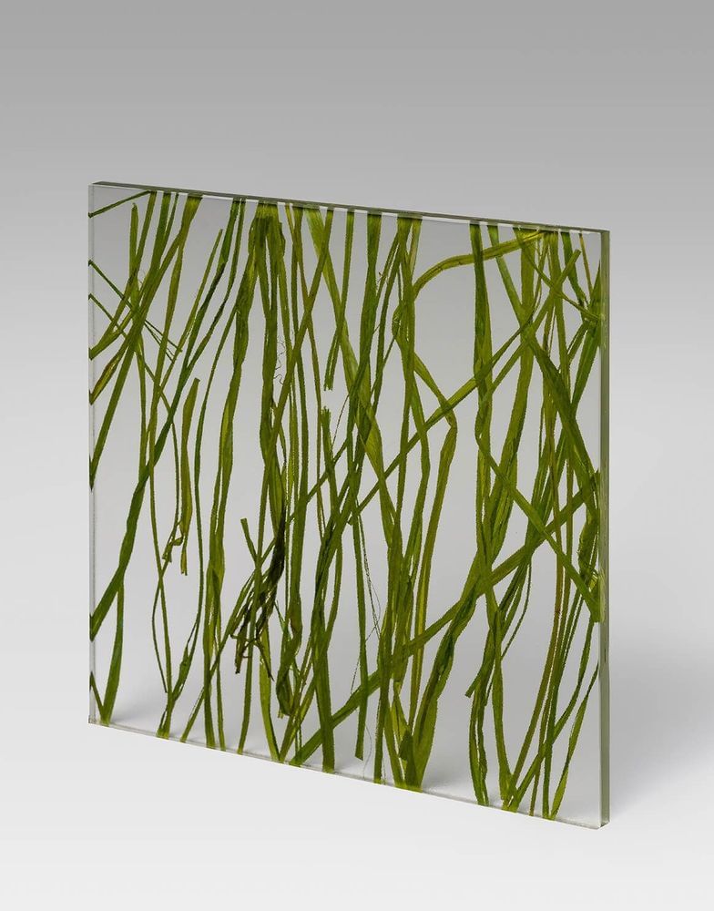 GL-PLN-0002 PETG Decorative panel